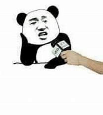 太棒了，我的网站成功建立了